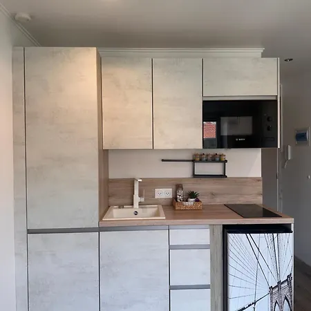 Apartment Prime Location Ac Place Massena Walk Everywhere *