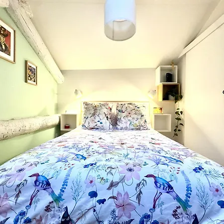 Duplex Cosy Au Coeur Du Vieux-nice * Nice