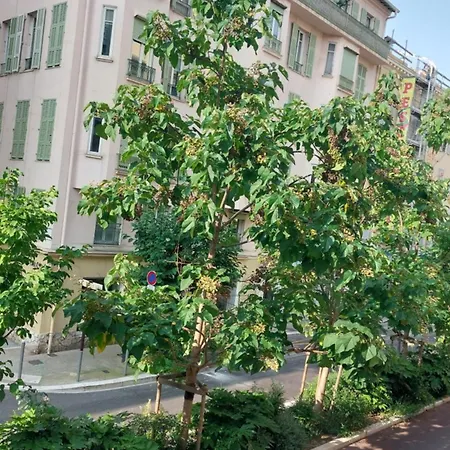 - Duplex Carré D'or - 100m Promenade Des Appartement
