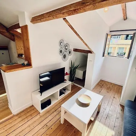Guisol 17 Attic Cocon Port De Nice