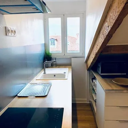 Appartement Guisol 17 Attic Cocon Port De Nice