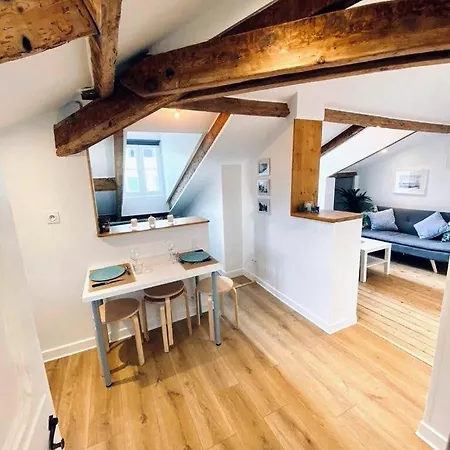 Appartement Guisol 17 Attic Cocon Port De Nice