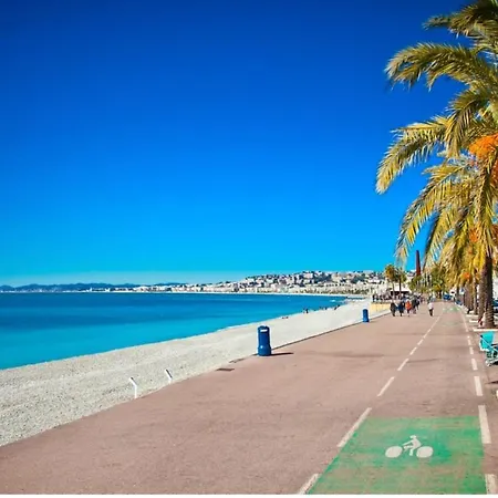 Apartment En Bord De - Zone Pietonne Nice