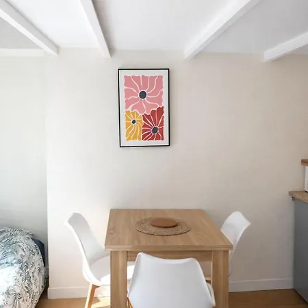 Lumineux - Centre Apartment Nice