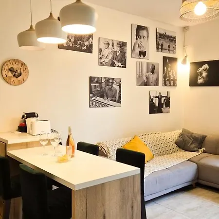 Joli T3 Moderne Avec Terrasse&climatisation