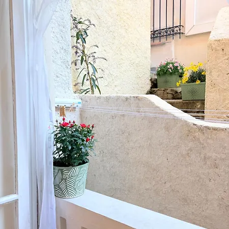 Gardenia Apartment