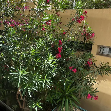 En Bord De - Zone Pietonne Apartment