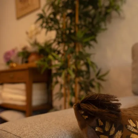 Appartement Le Bougainvillier