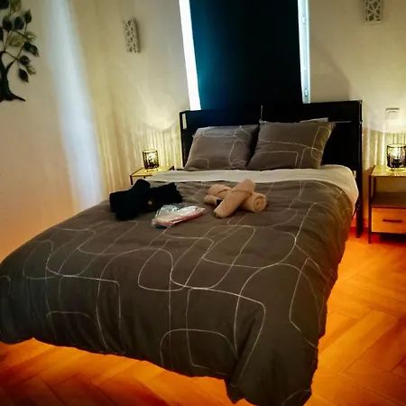 Apartment Duplex Chez Sabrina Et Julien *