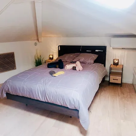 Apartment Duplex Chez Sabrina Et Julien Nice