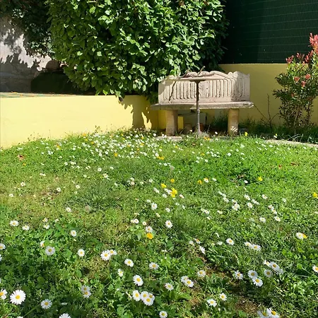 Villa Soraya Nice - Sunny Appartment Cote D'Azur With Large Garden Apartment *