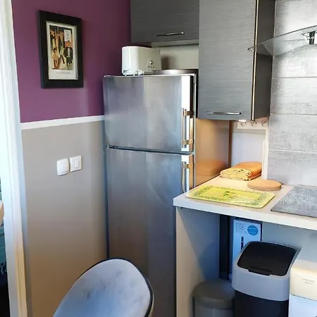 Appartement Cosy F1 Avec Grande Terrasse à 2 Pas Du Tramway
