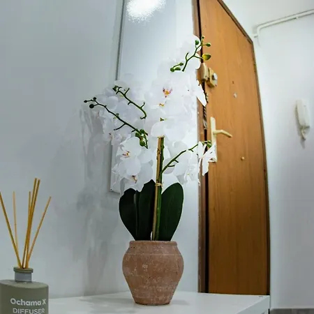 Calif76 Family Oasis 6 Pers 3ch Close To Appartement *