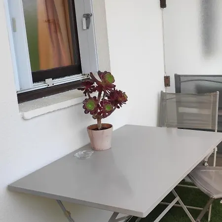 Les Palmiers Apartment *