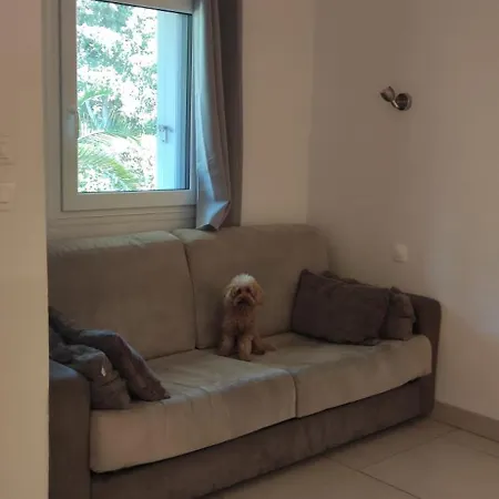 Les Palmiers Appartement