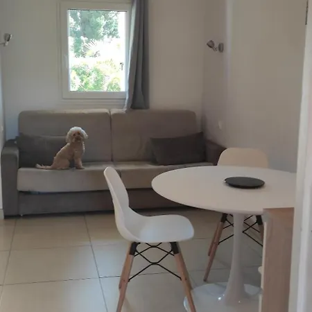 Les Palmiers Appartement Nice