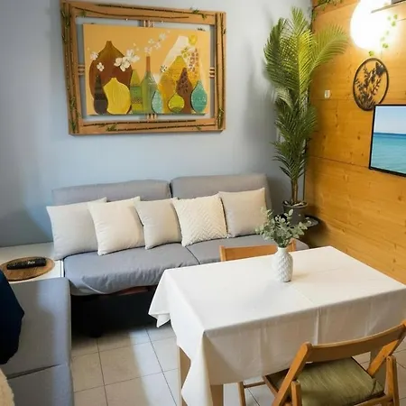 Rdp Triangle D'or - Free Parking Apartment Nice
