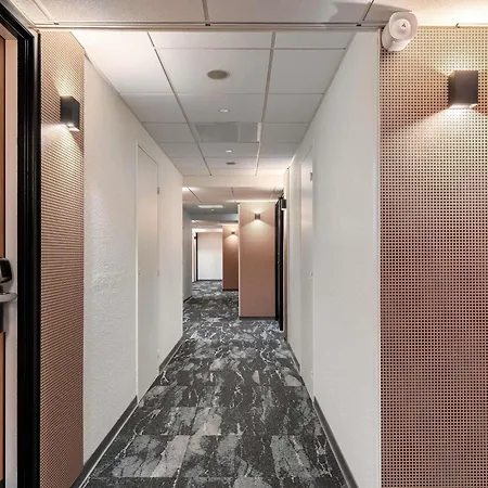 Hotel Ibis Aéroport Promenade Des 3*