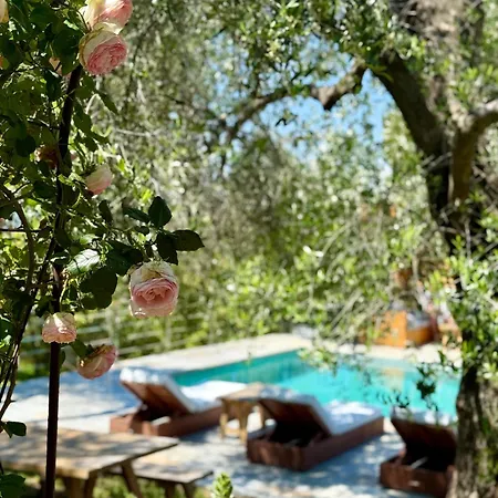 Bed & Breakfast Escondida 4*
