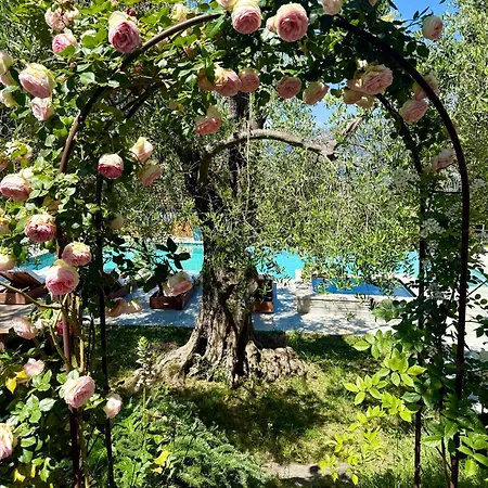 Bed & Breakfast Escondida 4*