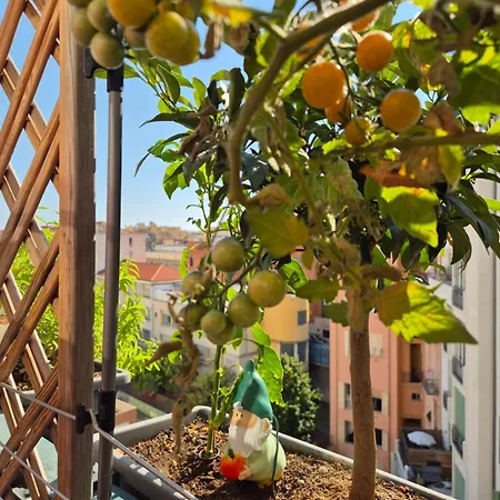 Séjour chez l'habitant Wonderful Heart Of Nice