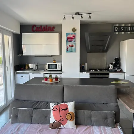 Très Beau 3 Pièces Spacieux Lumineux Et Climatisé Nice