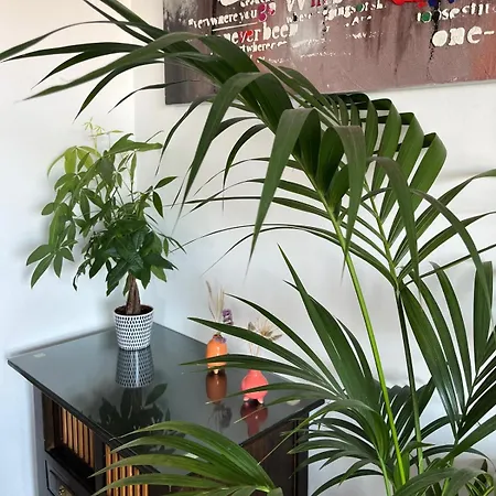Très Beau 3 Pièces Spacieux Lumineux Et Climatisé Appartement *