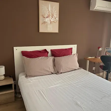 Très Beau 3 Pièces Spacieux Lumineux Et Climatisé Nice