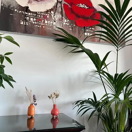 Appartement Très Beau 3 Pièces Spacieux Lumineux Et Climatisé *