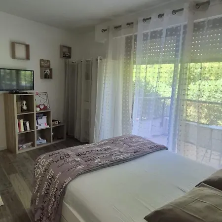 Exceptionnel Proche Avec Piscine, Parking Et Terrasse Apartment Nice