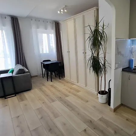 Spacious Apartment Nice