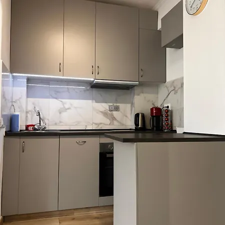 Spacious Apartment Nice