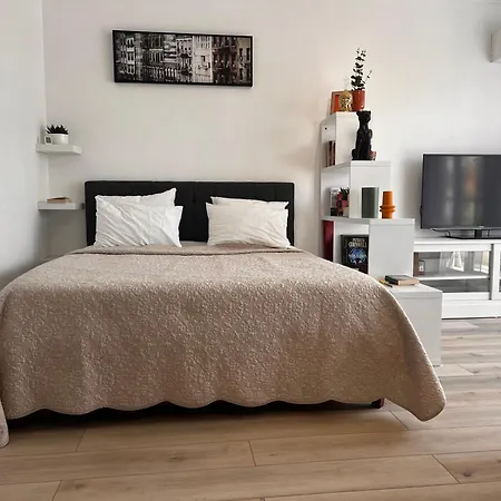 Spacious Apartment *