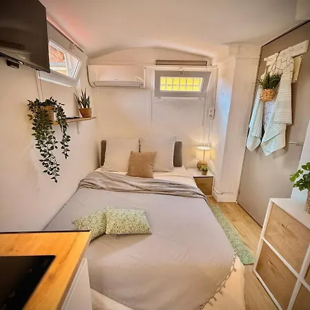 Le Celeste 3*