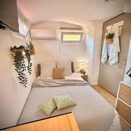 Le Celeste Nice