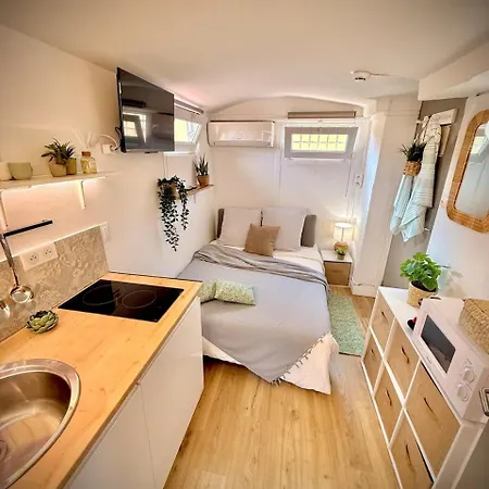 Le Celeste 3* Nice