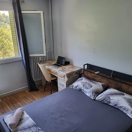 Private Room-3 In Hannana Apartment- 2 Min Walk To Tram 12 Min To Train Station 15 Min To Massena Place * Nice