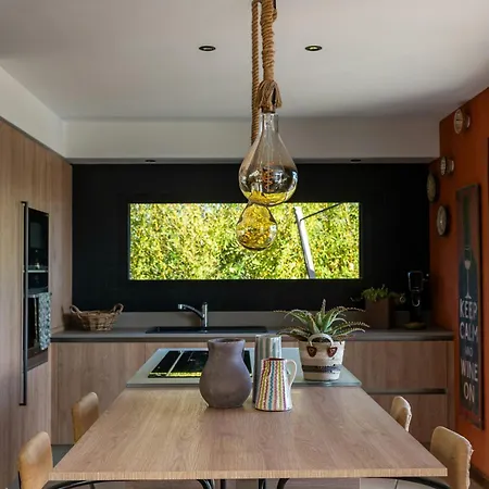 Contemporary With Views Of Cap D'antibes Holiday home
