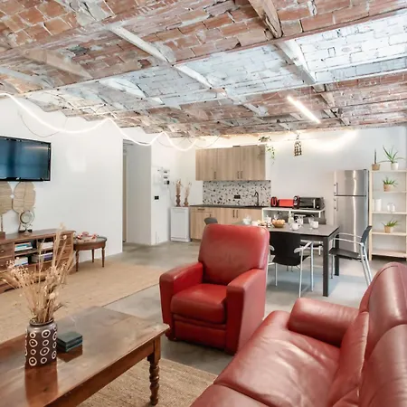 Cimiez Loft Apartment