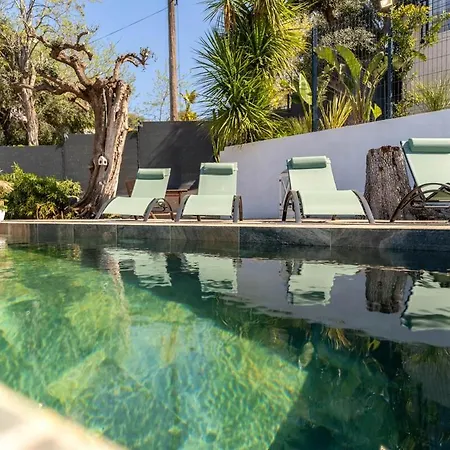 Apartment Magnifique Avec Piscine Et Jardin Nice