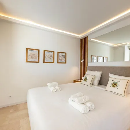 06db Magnificent Flat With Incredible View Mont Boron Nice