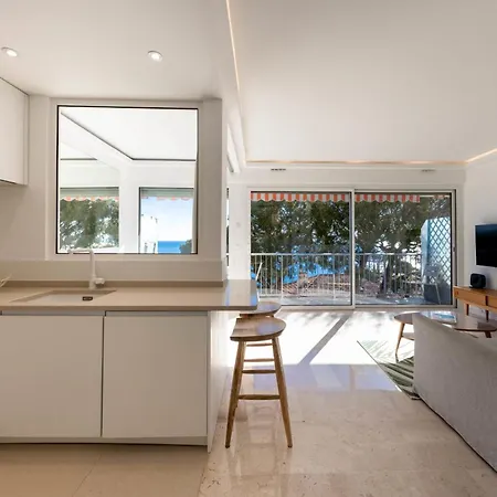 06db Magnificent Flat With Incredible View Mont Boron