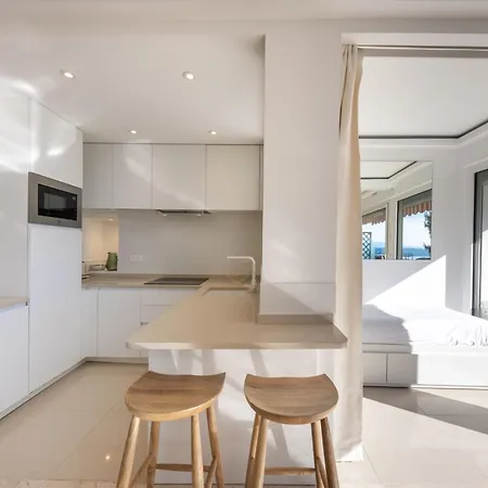 06db Magnificent Flat With Incredible View Mont Boron *