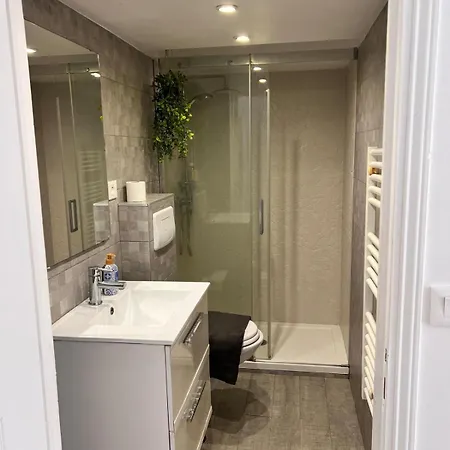 Appartement Mezzanine - Clim Balcon - Centre Nice