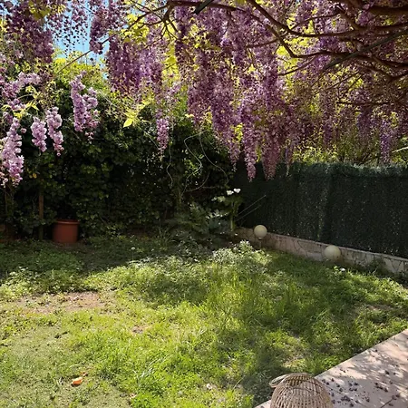 Apartment Jardin Prive 2 Pieces Garage Calme