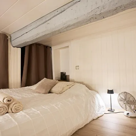 Apartment Loft Au Coeur Du Vieux-nice, A 5 Min De La Nice
