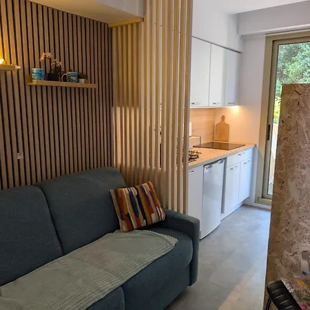 Apartment In A Luxury Community Nice
