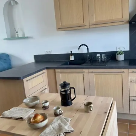Apartment Beautiful 45 M With Terrace In Nice