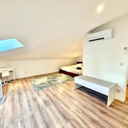 Apartment Duplex 125 M2 Nice