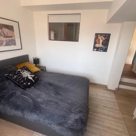 Beautiful 45 M With Terrace In Apartment